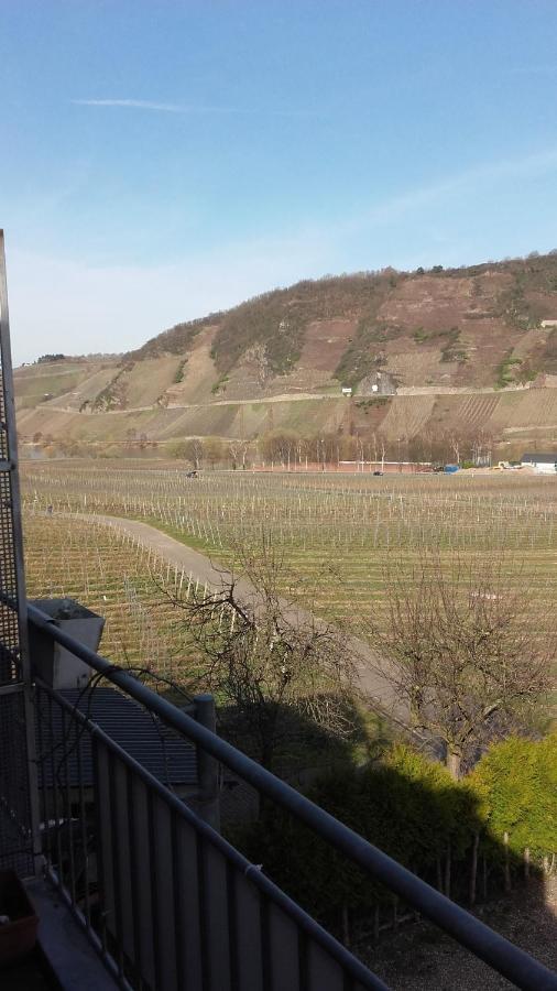 Gaestehaus Moselblick Trittenheim Bagian luar foto
