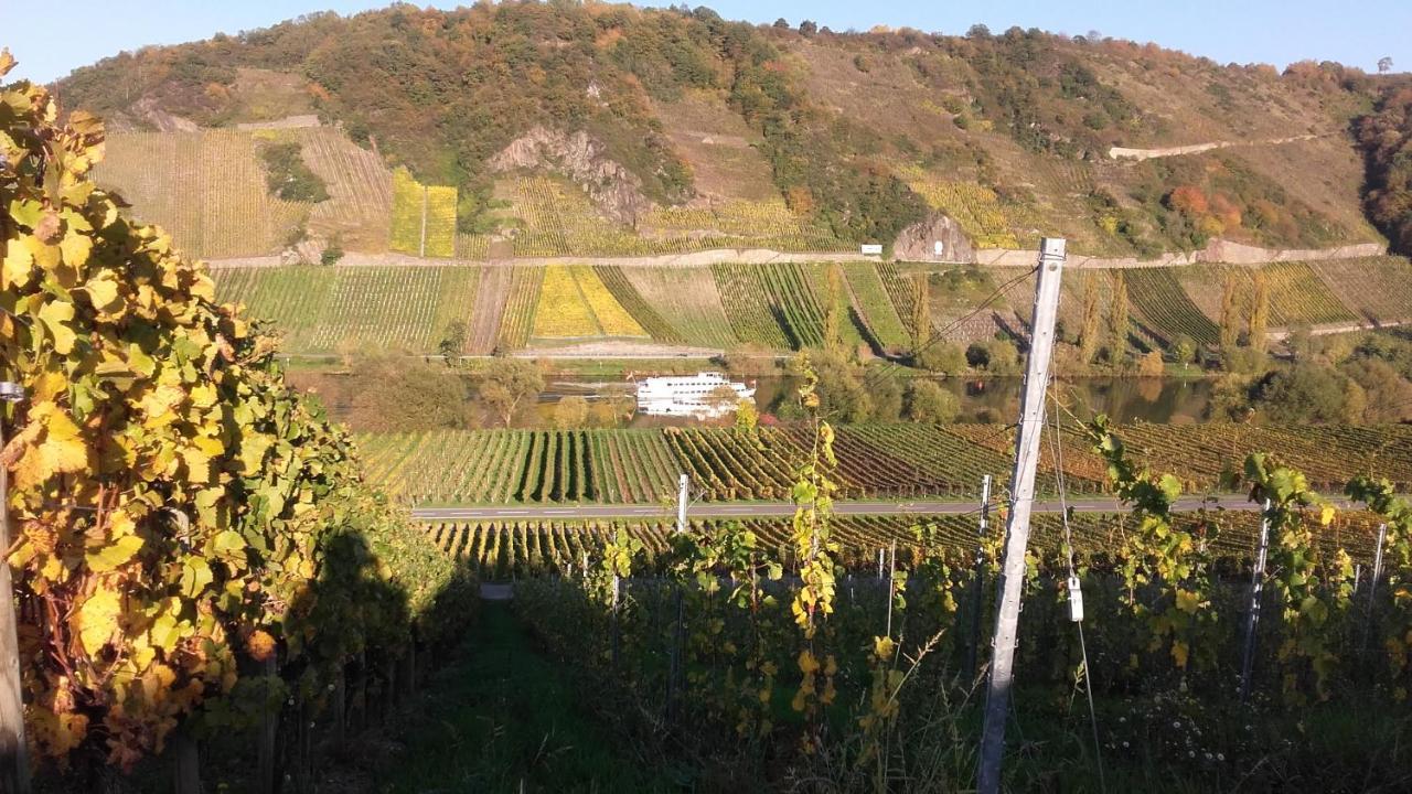 Gaestehaus Moselblick Trittenheim Bagian luar foto
