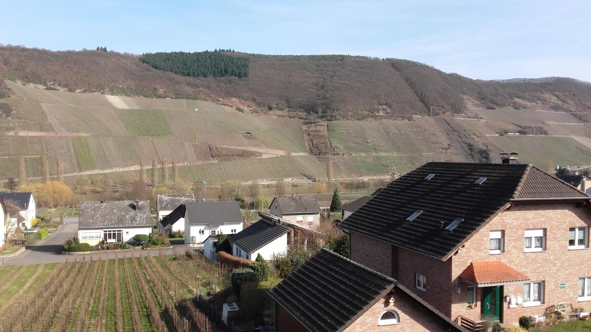 Gaestehaus Moselblick Trittenheim Bagian luar foto