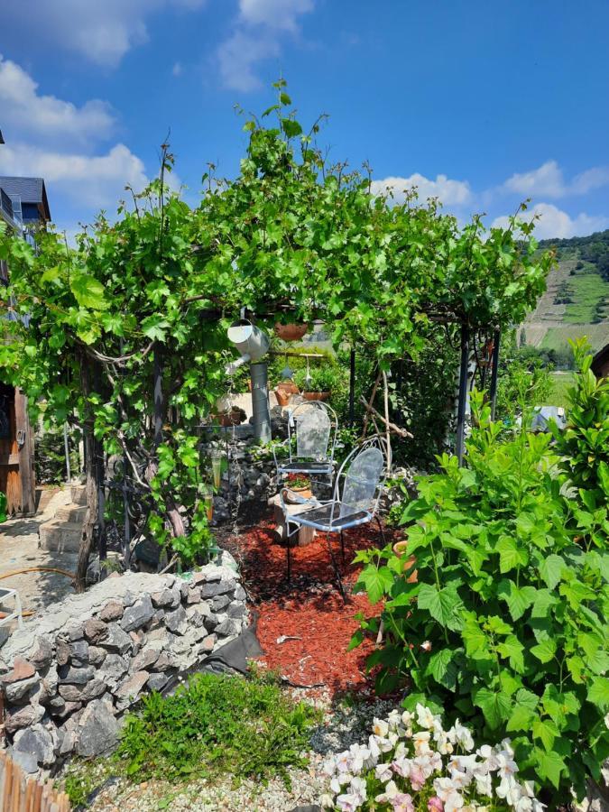 Gaestehaus Moselblick Trittenheim Bagian luar foto